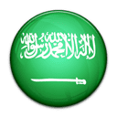 Flag of Saudi Arabia 128 1 ندای شیر و شمشیر ارائه دهنده خدمات هاستینگ آنتی دیداس | خرید سرور مجازی,هاست,دامنه,تیم اسپیک
