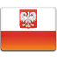 Poland flag 64 ندای شیر و شمشیر ارائه دهنده خدمات هاستینگ آنتی دیداس | خرید سرور مجازی,هاست,دامنه,تیم اسپیک
